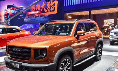 边牧旺财版没有车(哈弗大狗边牧版和边牧旺财版)