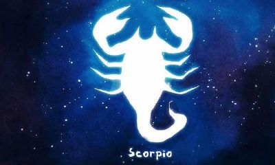 白羊座是工作狂(白羊座工作能力)