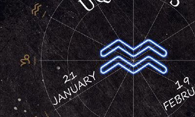 12星座打架最厉害的排行榜(十二星座等级排名)