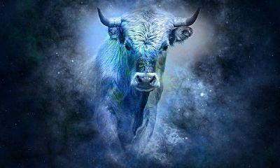 金牛座女生的性格缺点(金牛座性格脾气特点和缺点)