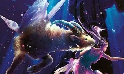 摩羯座远离哪个星座(为什么没人敢动摩羯座)