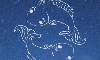 哪种人前世是狐狸(怎么知道自己的前世身份)