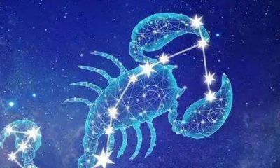 天蝎座一般什么时候谈恋爱(为什么要和天蝎座谈恋爱)