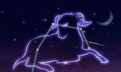 双子座喜欢得不到的吗(12星座谁最怕双子座)