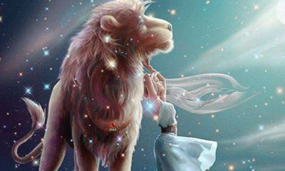 狮子座对另一半(狮子座对另一半怎么样)