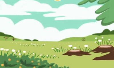 97年属牛养什么植物最旺财(属牛的幸运植物)