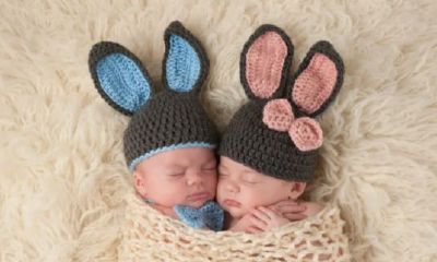 起名大全软件(网上起名字大全免费)