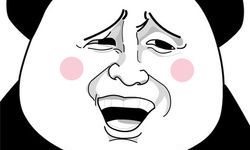 摩羯座龙女的性格(属龙人的性格)