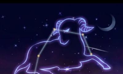 注定要晚婚的三大星座(豪门命星座女)