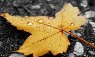 九月祈福吉日(老黄历吉日吉时辰查询)