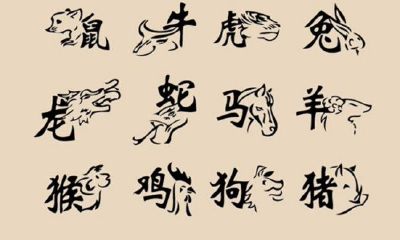 属鼠人的本命年(1967年属鼠的本命年是哪一年)