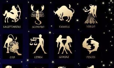 摩羯座是火象吗(摩羯座是属于什么星座)