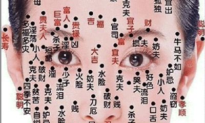 男面部痣相图解痣相图解(男的脸上长痣面相图解)