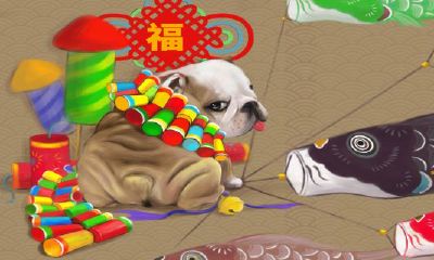 属狗哪个月孩子出生好(属狗人几月出生命最好)