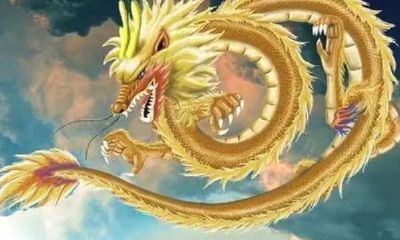 属龙的女性格与脾气(属龙男人的感情弱点)