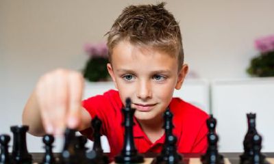 属兔和属鸡的智商哪个高(属牛和什么属相最配)