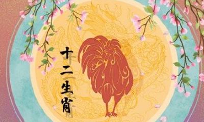 2023年1969年属鸡男人的全年运势(2023年属鸡的全年运程)