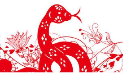 属蛇和属蛇的相克吗(属蛇和属鼠的合不合)