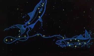 怎么判断双鱼座男生适不适合结婚(双鱼男结婚后的变化)