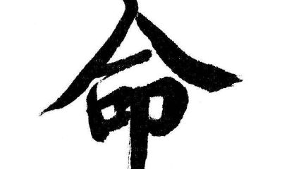 八字算命好学吗(什么八字适合学算命)