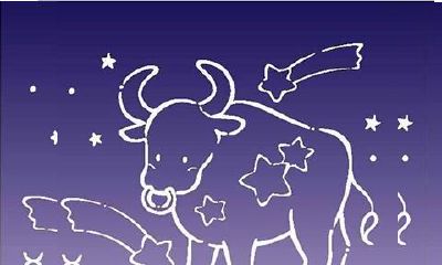 金牛座长大什么职业(金牛座长大最适合做什么工作)