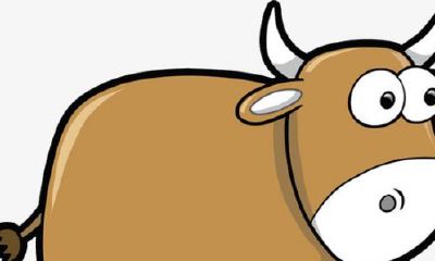 属牛的和属什么结婚最好(属牛的和属兔的相配吗)