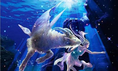 12月28号星座(12月28号出生的摩羯座)