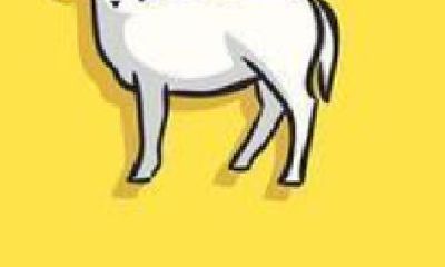 78年属马2023年会离婚吗(81年属鸡42岁2023有一灾)