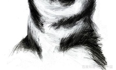 70属狗2023幸运颜色(70年属狗的每月运程)