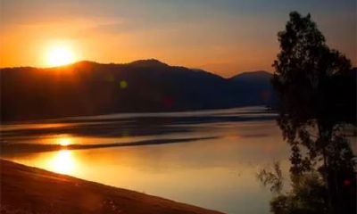 生肖虎的一生运势预测(1974年属虎人的终生寿命)