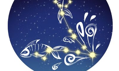 双鱼座脱单困难(2023年双鱼座会复婚吗)