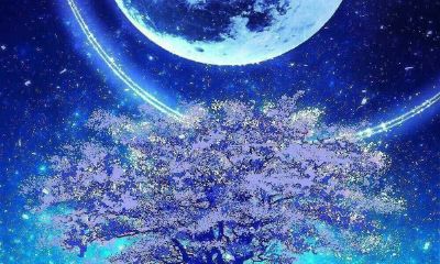 什么样的人适合学算命(这3种人最好不要算命)