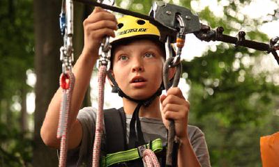 王氏取名大全男孩名字(王姓孩子取名宝典)