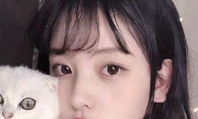 吴氏取名大全女孩带丽(96年配对的属相婚配表)