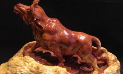 牛气冲天财运到(财运什么时候到)