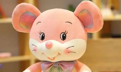 96年属鼠2023年有什么喜事(2023年属什么生肖年)