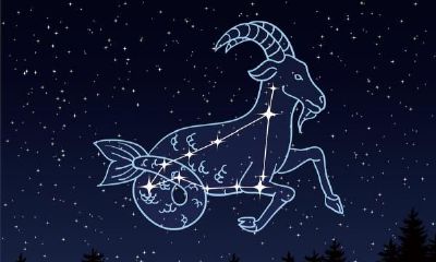 摩羯座喜欢高冷的人吗(白羊座高冷起来有多冷)