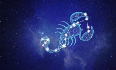 天蝎座是什么样的人生(最倒霉的十二星座)