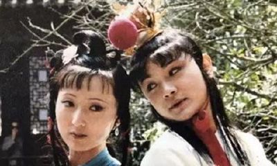 红楼梦木石姻缘的的木指什么(红楼梦中金玉良缘和木石姻缘)