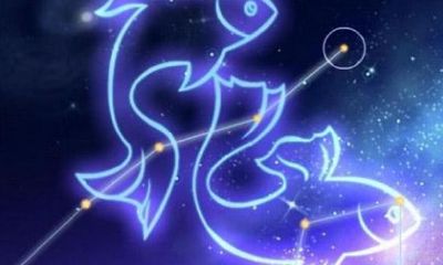 双鱼座男生彻底不爱你的表现(白羊座不爱你的表现)