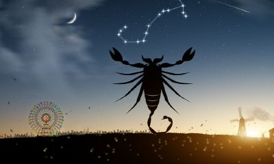 狮子座的幸运颜色(伤害狮子座的下场)