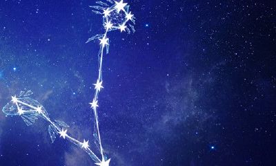 海王星双鱼6宫骰子(占星骰子海王星含义)