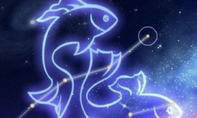 双鱼座和白羊座做闺蜜(双鱼座和水瓶座配吗)