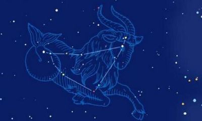 摩羯座会不会直接说分手(和摩羯座说分手的后果)