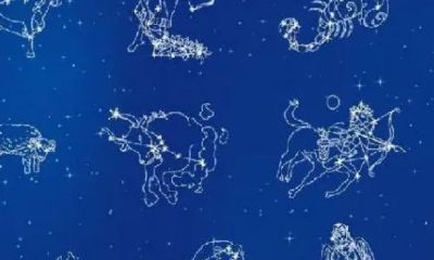 陶白白星座分析一周运势(陶白白2023年星座运势)