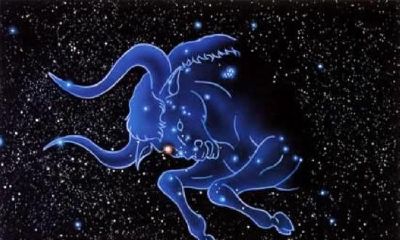 12是什么星座什么星座(5月是什么星座)