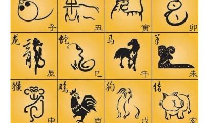 70年出生属鸡的是什么命(属鸡12月出生)