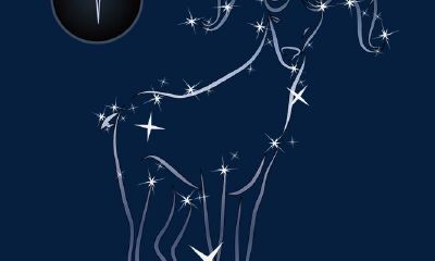 男白羊座是什么性格(白羊座男喜欢什么性格的女生)