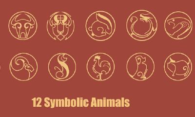 12属相的败月(属虎生到几月份阴历最好)