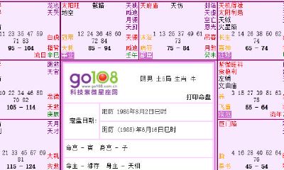 紫微斗数对宫代表什么(紫微斗数每一宫的数字)